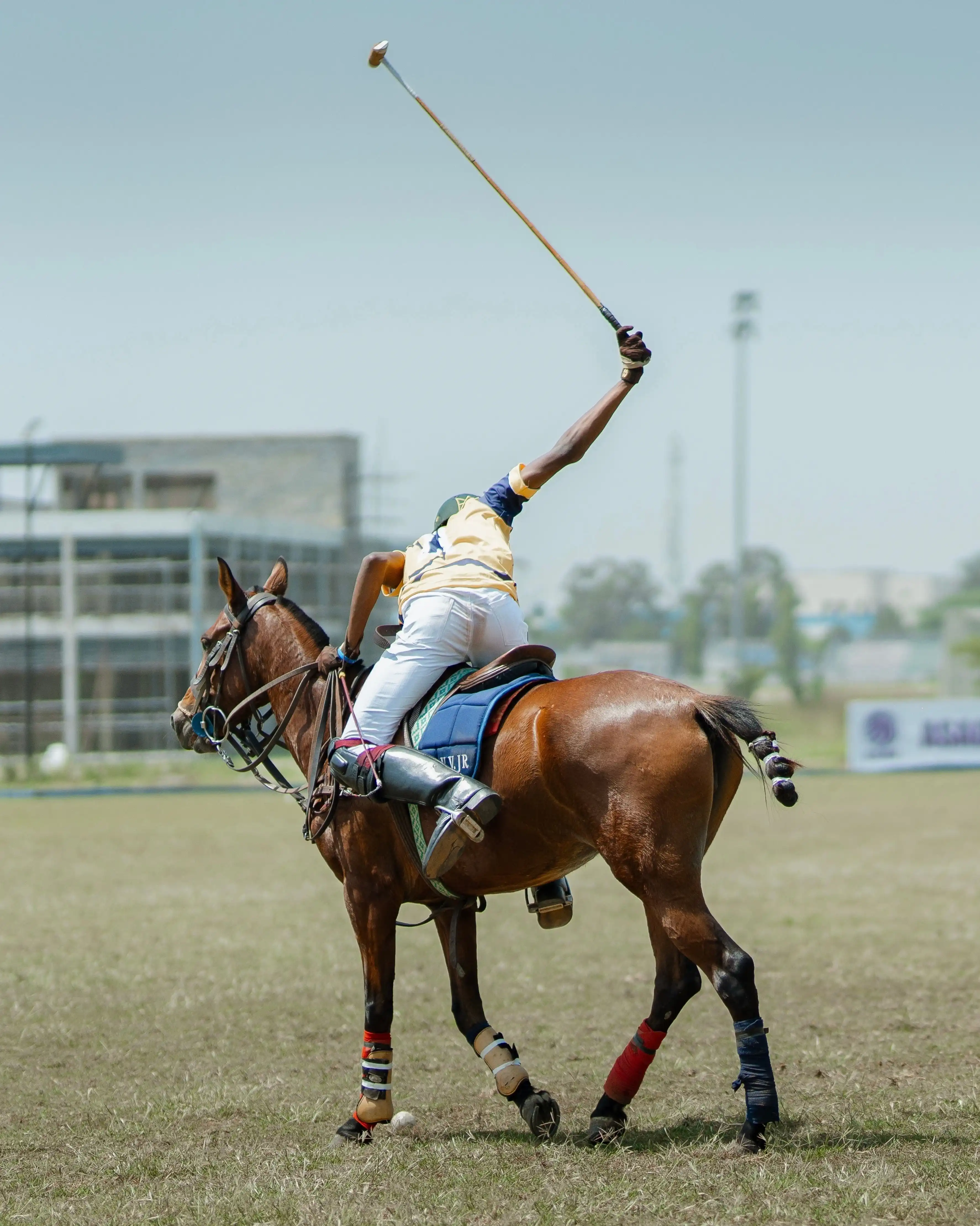 Polo player swinging on horseback